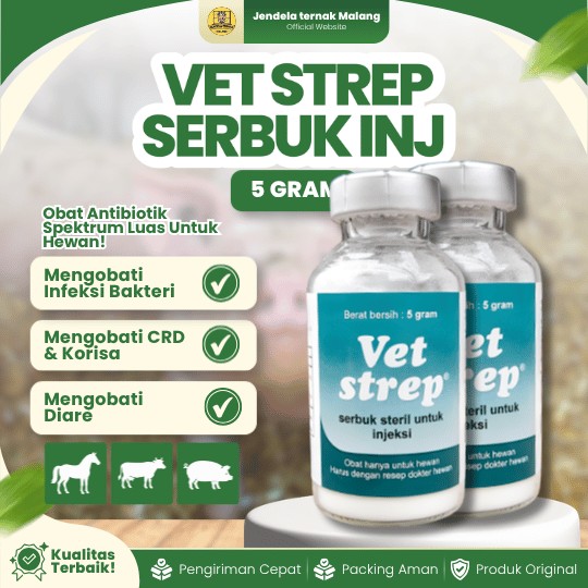VET STREP SERBUK INJ 5 GRAM - Untuk Infeksi Pernapasan, Snot, Pilek, Korisa, Muka Bengkak Pada Hewan