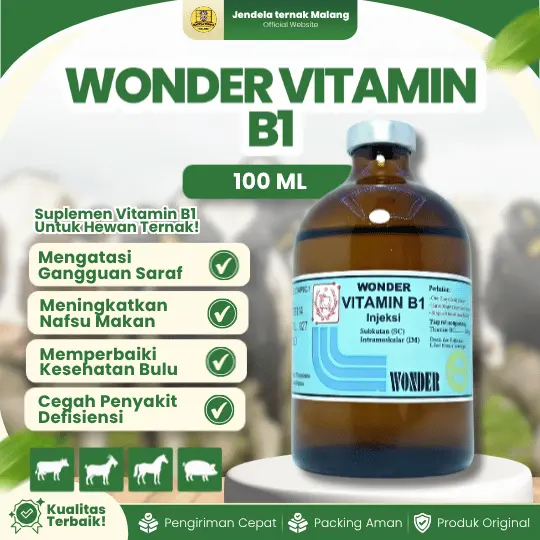 VITAMIN B1 WONDER 100 ML – Atasi Gangguan Pencernaan, Selera Makan, Kaki Lemas Hewan Ternak