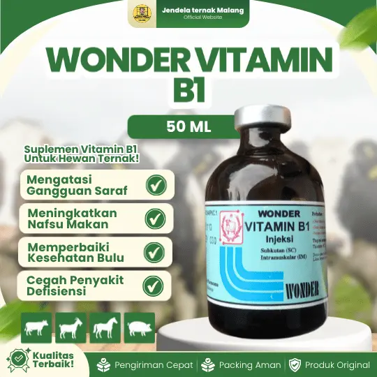 WONDER VITAMIN B1 50 ML – Vitamin B1 Untuk Hewan Sapi Anjing Kucing