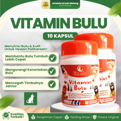 VITAMIN BULU ISI 10 KAPSUL BY OLIVE CARE – Untuk Kitten Kucing.