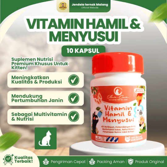 VITAMIN HAMIL & MENYUSUI ISI 10 KAPSUL BY OLIVE CARE – Untuk Kitten Dan Kucing.