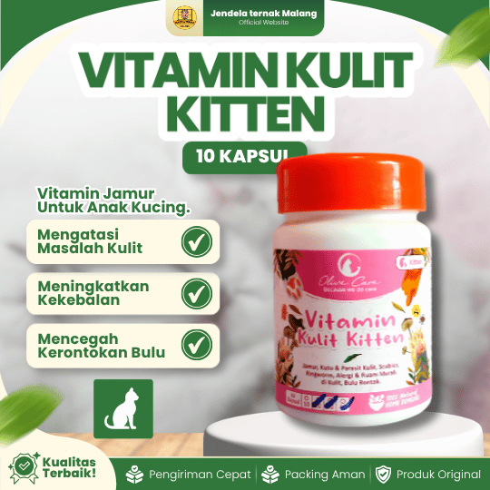 VITAMIN KULIT KITTEN ISI 10 KAPSUL BY OLIVE CARE – Untuk Kitten Kucing.