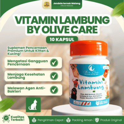 VITAMIN LAMBUNG ISI 10 KAPSUL BY OLIVE CARE – Untuk Kitten Dan Kucing.