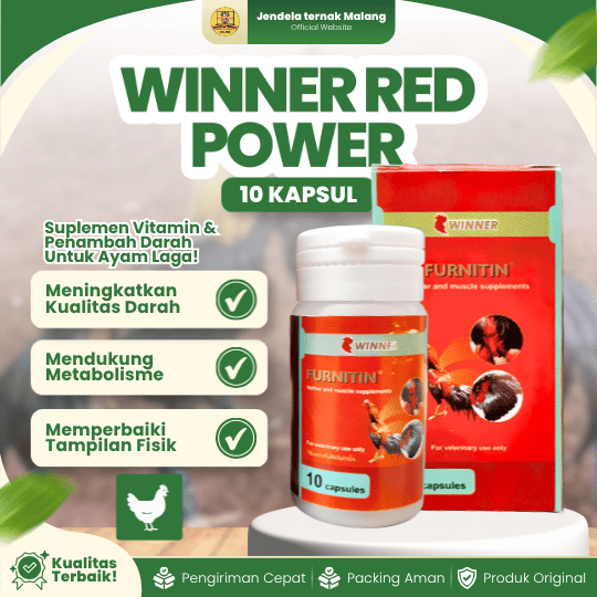 WINNER RED POWER (10 KAPSUL) - Suplemen Vitamin Penambah Darah Ayam