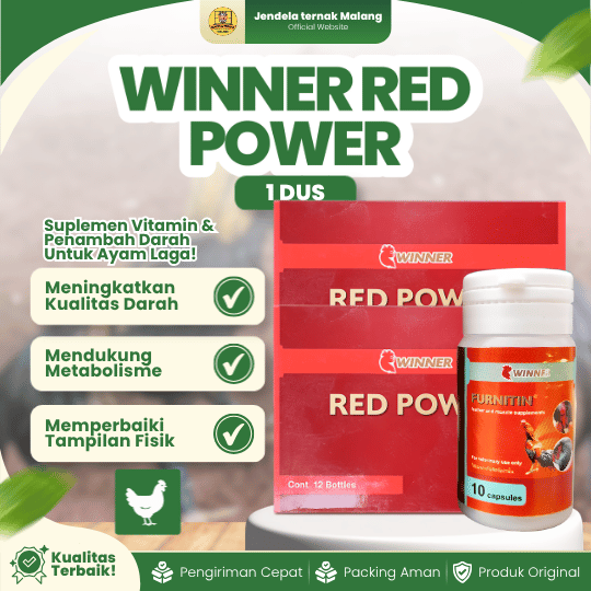WINNER RED POWER 1 DUS (12 BOTOL @10 KAPSUL) - Suplemen Vitamin Penambah Darah Ayam