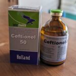 CEFTIONEL-50 100 ML - Untuk Saluran Pernafasan dan Pencernaan Hewan