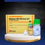 MEDIVAC ND HITCHNER B1 DOSIS 50 EKOR + PELARUT BY MEDION - Mengurangi Resiko Kematian Ayam & Unggas.