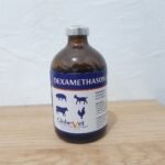 DEXA GLOBE VET 100 ML BY HOLLAND - DEXAMETHASON Analgesia, Antipiretika Dan Antiinflamasi Hewan.