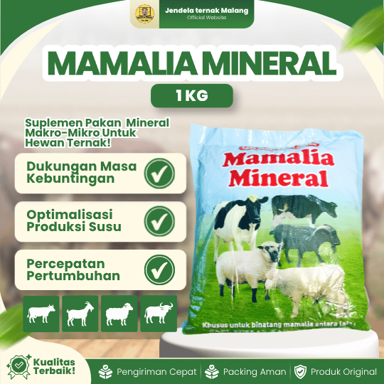 MAMALIA MINERAL 1 KG BY USFA - Mineral Menguatkan,  Memperlancar & Memperbanyak Susu.