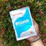 HITOPVIT 100 GRAM - Multivitamin Meningkatkan Daya Tahan Tubuh Untuk Ayam & Unggas.