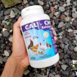 CAL CHICK 1000 TABLET - Kalsium Vitamin Penguat Tulang & Metabolisme Untuk Ayam Dan Unggas.