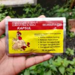 BIOCILIN 10 KAPSUL BY EKA FARMA - Ampuh Meningkatkan Selera Makan & Atasi Sakit Pada Ayam.