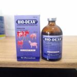 BIO DEXA 100 ML - Untuk Mengatasi Peradangan Pada Hewan.