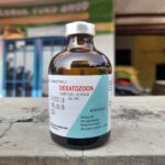 DEXATOZOON 100 ML - Untuk Masalah Anti Inflamasi Anti radang Anti alergi Hewan