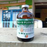 PRO B PLEK INJ 100 ML - Vitamin B kompleks Untuk Hewan Ternak.