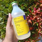 CALMASOL-440 ISI 500 ML - Kalsium Untuk Hewan Ternak Sapi Pedet Kambing Domba