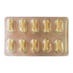 KALVIDOG JR 1 BLISTER (10 TABLET) - Multivitamin Untuk Meningkatkan Imunitas dan Daya Tahan Tubuh Puppy Anjing