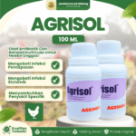 AGRISOL 100 ML BY AGRINUSA - Untuk Infeksi Pernapasan & Sistemik Coryza, CRD, Colibacillosis Unggas.