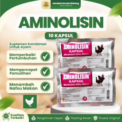 AMINOLISIN 10 KAPSUL – Vitamin Meningkatkan Selera Makan Pada Ayam.