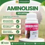 AMINOLISIN BOTOL ISI 50 KAPSUL - Untuk Menambah Selera Makan Pada Ayam.