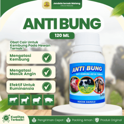 ANTI BUNG 120 ML RAID ALL – Untuk Masalah Kembung Pada Hewan Ternak Sapi Kambing Domba Babi