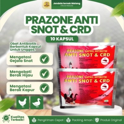 PRAZONE ANTI SNOT & CRD 10 KAPSUL RAID-ALL – Untuk Masalah Pada unggas Ayam Bebek