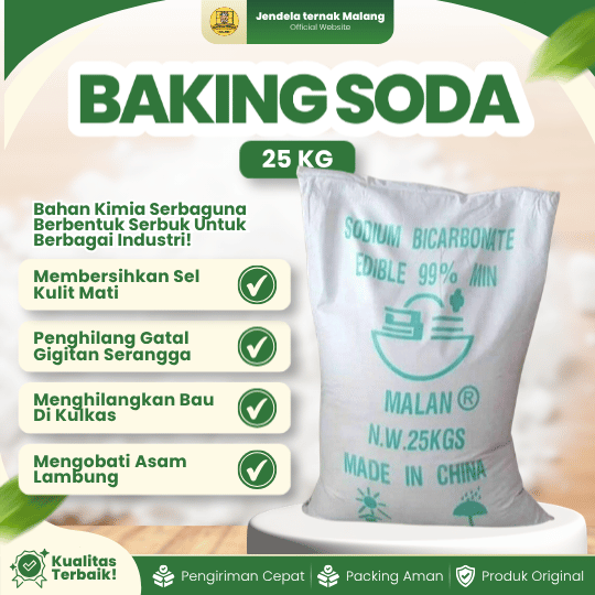 BAKING SODA 1 SAK 25 Kg - Food Grade, Sodium Bicarbonate, Soda Kue Multifungsi.
