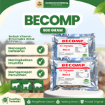 BECOMP 500 GRAM RAID-ALL - Vitamin B Komplek dan Mineral Untuk Unggas, Sapi, Kambing dan Babi