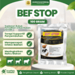 BEF STOP 100 GRAM - Suplemen Recovery Demam, Ambruk, Selera Makan Pada Hewan Ternak.