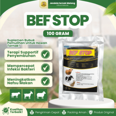 BEF STOP 100 GRAM – Suplemen Recovery Demam, Ambruk, Selera Makan Pada Hewan Ternak.