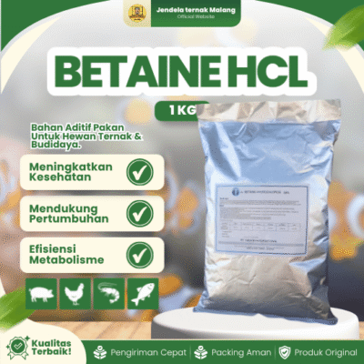 BETAINE HCL 1 KG – Super Amino Protein Untuk Hewan Ayam Layer Broiler Burung Udang Kepiting Ikan