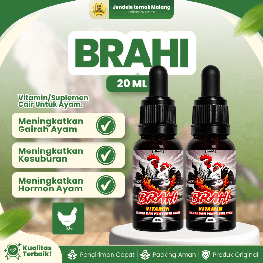 BRAHI 20 ML - Vitamin Penyubur Reproduksi Pada Ayam Jantan & Betina.