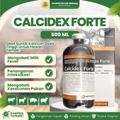 Calcidex Forte 500ml – Untuk Ketosis Sapi Ambruk Milk Fever Bagi Ternak