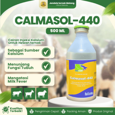 CALMASOL-440 ISI 500 ML – Kalsium Untuk Hewan Ternak Sapi Pedet Kambing Domba