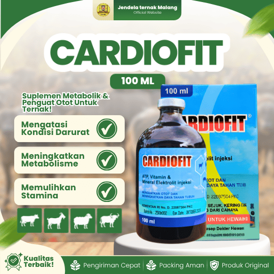 CARDIOFIT 100 ML - Untuk Sapi Ambruk Vitamin Mineral Penguat Otot Ternak Sapi Kambing Domba Kerbau