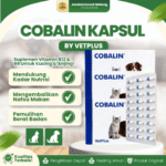 COBALIN KAPSUL BY VETPLUS – Suplemen Yang Kekurangan Vitamin B9 & B12 Untuk Anjing & Kucing.
