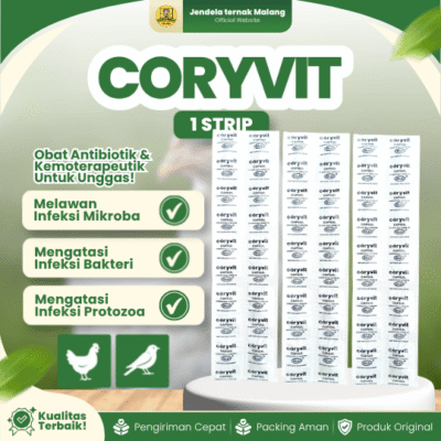 CORYVIT 1 STRIP 10 CAPS BY WONDER – Untuk Hewan Ayam, Burung & Unggas Lainnya.
