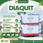 DIAQUIT 100 GRAM 1 BOX (10 SACHET) MEDION - Untuk Masalah Diare Sapi Kambing Domba Kerbau Kuda Babi