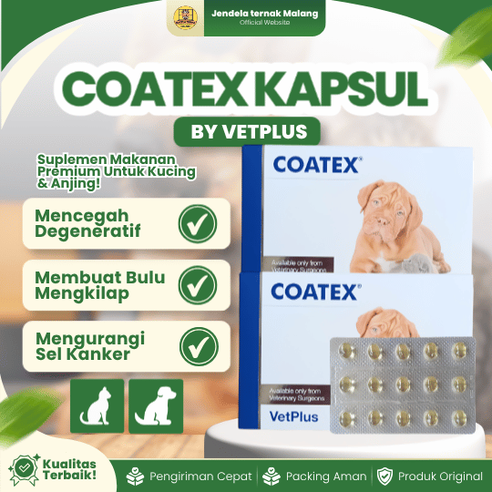 COATEX KAPSUL ECER BY VETPLUS - Vitamin Kulit & Bulu Untuk Anjing Dan Kucing.