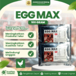 EGG MAX 100 GRAM RAID-ALL - Multivitamin Serbuk Untuk Produksi Telur Ayam