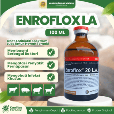 ENROFLOX LA 100 ML BY AGROVET – Untuk Masalah Saluran Pernapasan, Pencernaan & Pendengaran Hewan.