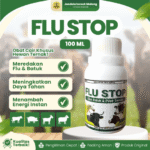 FLU STOP 100 ML – Ampuh Mengatasi Flu, Batuk & Pilek Pada Hewan Ternak.