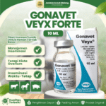 GONAVET VEYX FORTE 10 ML – Mengatasi Gangguan Reproduksi Hewan Like Fertagyl & Conceptase.