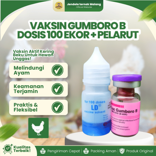 VAKSIN GUMBORO B DOSIS 100 EKOR + PELARUT MEDIVAC MEDION - Vaksin IBD Ayam Burung Unggas Bebek