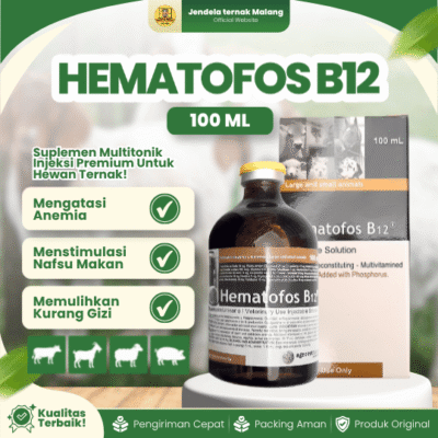 HEMATOFOS B12 100 ML BY AGROVET – Untuk Penambah Darah & Pertumbuhan Hewan Ternak.