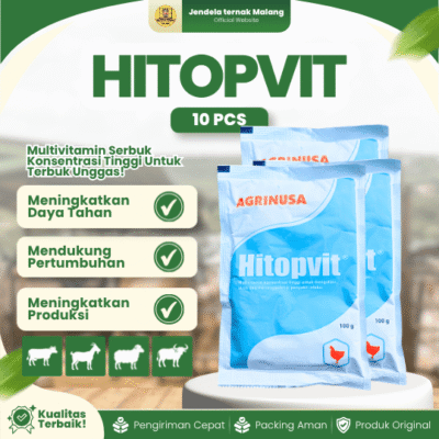 10 PCS HITOPVIT 100 GRAM BY AGRINUSA LEBIH MURAH – Multivitamin Meningkatkan Daya Tahan Tubuh Untuk Ayam & Unggas.