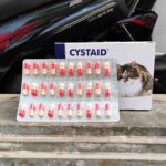 CYSTAID KAPSUL ECER VETPLUS  - Untuk Menjaga & Mengatasi Kesehatan Kandung Kemih Kucing.