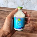 PEN 300 100 ML BY INTERCHEMIE HOLLAND - Untuk Hewan Ternak & Peliharaan.