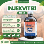 INJEKVIT B1 100 ML – Vitamin Untuk Mencegah Gangguan Syaraf & Menambah Selera Makan Hewan.
