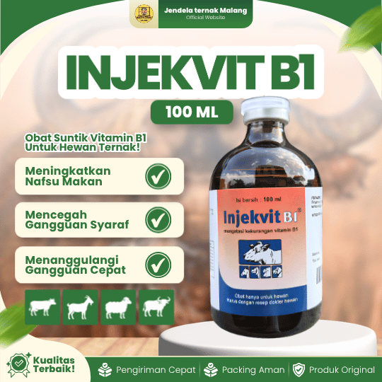 INJEKVIT B1 100 ML - Vitamin Untuk Mencegah Gangguan Syaraf & Menambah Selera Makan Hewan.
